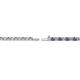 3 - Leslie 2.00 mm Iolite and Diamond Eternity Tennis Bracelet 