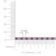 3 - Leslie 3.40 mm Amethyst and Diamond Eternity Tennis Bracelet 
