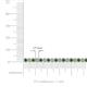 3 - Izarra 2.90 mm Green Garnet and Lab Grown Diamond Eternity Tennis Bracelet 