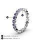 5 - Arria 2.70 mm Iolite Eternity Band 