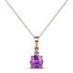 1 - Reyne Amethyst and Diamond Two Stone Pendant 