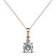 1 - Reyne Lab Grown and Mined Diamond Two Stone Pendant 