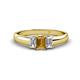 1 - Sharon 6x4 mm Emerald Cut Citrine and Diamond Trellis Three Stone Engagement Ring 