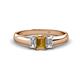 1 - Sharon 6x4 mm Emerald Cut Citrine and Diamond Trellis Three Stone Engagement Ring 