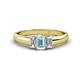 1 - Sharon 6x4 mm Emerald Cut Aquamarine and Lab Grown Diamond Trellis Three Stone Engagement Ring 