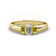 1 - Sharon 6x4 mm Emerald Cut Diamond and Yellow Sapphire Trellis Three Stone Engagement Ring 