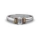 1 - Sharon 6x4 mm Emerald Cut Diamond and Smoky Quartz Trellis Three Stone Engagement Ring 