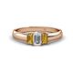1 - Sharon 6x4 mm Emerald Cut Lab Grown Diamond and Citrine Trellis Three Stone Engagement Ring 