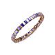 4 - Clarissa 2.50 mm Princess Cut Tanzanite Eternity Band 