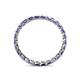 5 - Clarissa 2.50 mm Princess Cut Iolite Eternity Band 