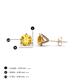 4 - Pema 4mm (0.40 ctw) Citrine Martini Solitaire Stud Earrings 