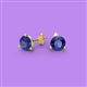 2 - Pema 5mm (0.80 ctw) Iolite Martini Solitaire Stud Earrings 