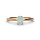 1 - Orla Oval Cut Opal Solitaire Engagement Ring 