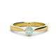 1 - Isla 5.00 mm Round  Opal Solitaire Engagement Ring  