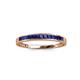 3 - Aqilia 2.00 mm Princess Cut Blue Sapphire 13 Stone Wedding Band 