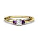 1 - Eadlin Princess Cut Diamond and Amethyst Three Stone Engagement Ring 