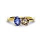 1 - Tanya Oval Shape Iolite & Cushion Shape Smoky Quartz 2 Stone Duo Ring 