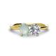 1 - Tanya Oval Shape Opal & Cushion Shape Forever One Moissanite 2 Stone Duo Ring 