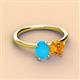 3 - Tanya Oval Shape Turquoise & Cushion Shape Citrine 2 Stone Duo Ring 