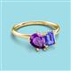 3 - Nadya Pear Shape Amethyst & Emerald Shape Tanzanite 2 Stone Duo Ring 
