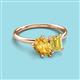 3 - Nadya Pear Shape Citrine & Emerald Shape Yellow Sapphire 2 Stone Duo Ring 