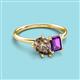 3 - Nadya Pear Shape Smoky Quartz & Emerald Shape Amethyst 2 Stone Duo Ring 