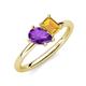 4 - Nadya Pear Shape Amethyst & Emerald Shape Citrine 2 Stone Duo Ring 
