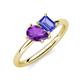 4 - Nadya Pear Shape Amethyst & Emerald Shape Tanzanite 2 Stone Duo Ring 