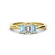 1 - Daria 6x4 mm Emerald Cut Diamond and Aquamarine Side Gallery Work Three Stone Engagement Ring 