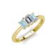 3 - Daria 6x4 mm Emerald Cut Certified Lab Grown Diamond and Aquamarine Side Gallery Work Three Stone Engagement Ring 