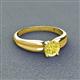 3 - Kelila 6.00 mm Round Yellow Diamond Solitaire Engagement Ring 