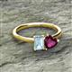 2 - Esther Emerald Shape Aquamarine & Heart Shape Rhodolite Garnet 2 Stone Duo Ring 