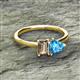 2 - Esther Emerald Shape Smoky Quartz & Heart Shape Blue Topaz 2 Stone Duo Ring 