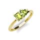 3 - Esther Emerald & Heart Shape Peridot 2 Stone Duo Ring 