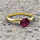 3 - Elodie 6.50 mm Round Rhodolite Garnet Solitaire Engagement Ring 