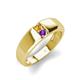 4 - Ethan 3.00 mm Round Citrine and Amethyst 2 Stone Men Wedding Ring 