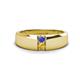 1 - Ethan 3.00 mm Round Tanzanite and Citrine 2 Stone Men Wedding Ring 