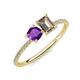 3 - Elyse 6.00 mm Cushion Shape Amethyst and 7x5 mm Emerald Shape Smoky Quartz 2 Stone Duo Ring 