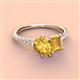 4 - Zahara 9x6 mm Pear and 7x5 mm Emerald Cut Citrine 2 Stone Duo Ring 