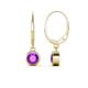 1 - Cara Amethyst (5mm) Solitaire Dangling Earrings 