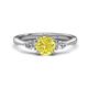 1 - Zelia 1.20 ctw (6.00 mm) Round Yellow Diamond and Pear Shape Natural Diamond Three Stone Engagement Ring 