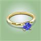 2 - Kiona 0.92 ctw (6.50 mm) Round Tanzanite Square Edge Shank Solitaire Engagement Ring 