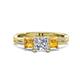 1 - Michele 1.52 ctw (5.50 mm) 3 Stone Princess Cut Lab Grown Diamond and Citrine Twisted Vine Engagement Ring 