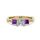 1 - Michele 1.52 ctw (5.50 mm) 3 Stone Princess Cut Natural Diamond and Amethyst Twisted Vine Engagement Ring 