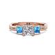 1 - Michele 1.56 ctw (5.50 mm) 3 Stone Princess Cut Natural Diamond and Blue Topaz Twisted Vine Engagement Ring 