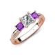 4 - Michele 1.52 ctw (5.50 mm) 3 Stone Princess Cut Natural Diamond and Amethyst Twisted Vine Engagement Ring 