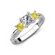 4 - Michele 1.60 ctw (5.50 mm) 3 Stone Princess Cut Natural Diamond and Yellow Diamond Twisted Vine Engagement Ring 