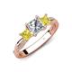 4 - Michele 1.60 ctw (5.50 mm) 3 Stone Princess Cut Natural Diamond and Yellow Diamond Twisted Vine Engagement Ring 