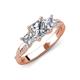 3 - Michele 2.36 ctw (6.50 mm) 3 Stone Princess Cut Moissanite and Natural Diamond Twisted Vine Engagement Ring 