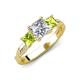 3 - Michele 2.20 ctw (6.50 mm) GIA Certified 3 Stone Princess Cut Natural Diamond (SI/G) and Peridot Twisted Vine Engagement Ring 